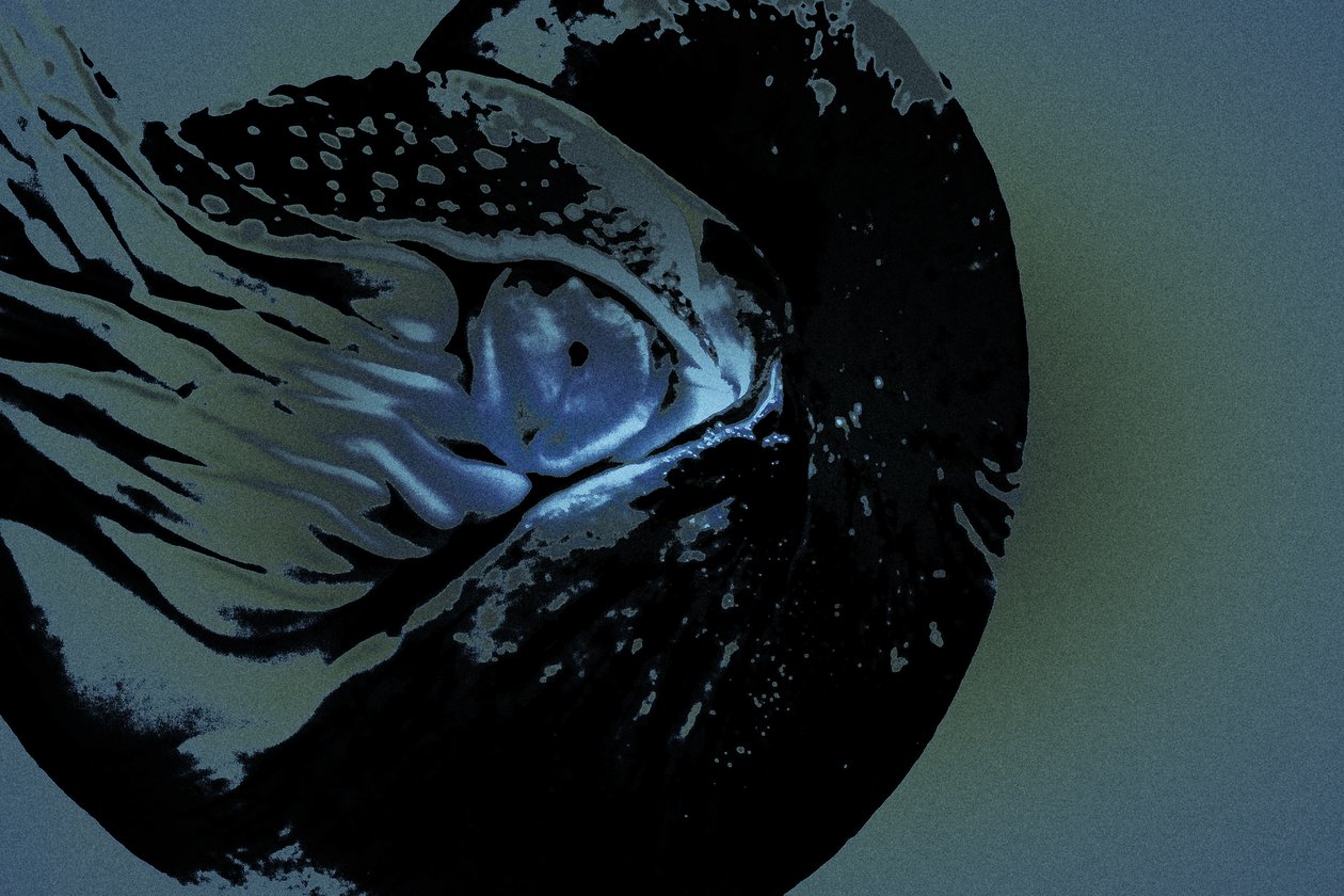 Nautilus, 2018 (käsin maalattu valokuva) tekijältä Alice Gur Arie