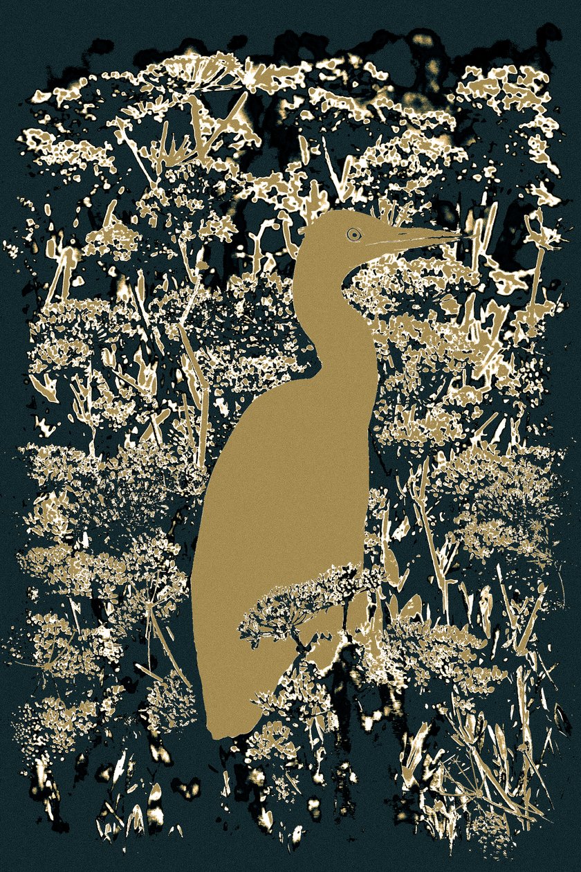 Royal Egret, 2015 (valokuva) tekijältä Alice Gur Arie