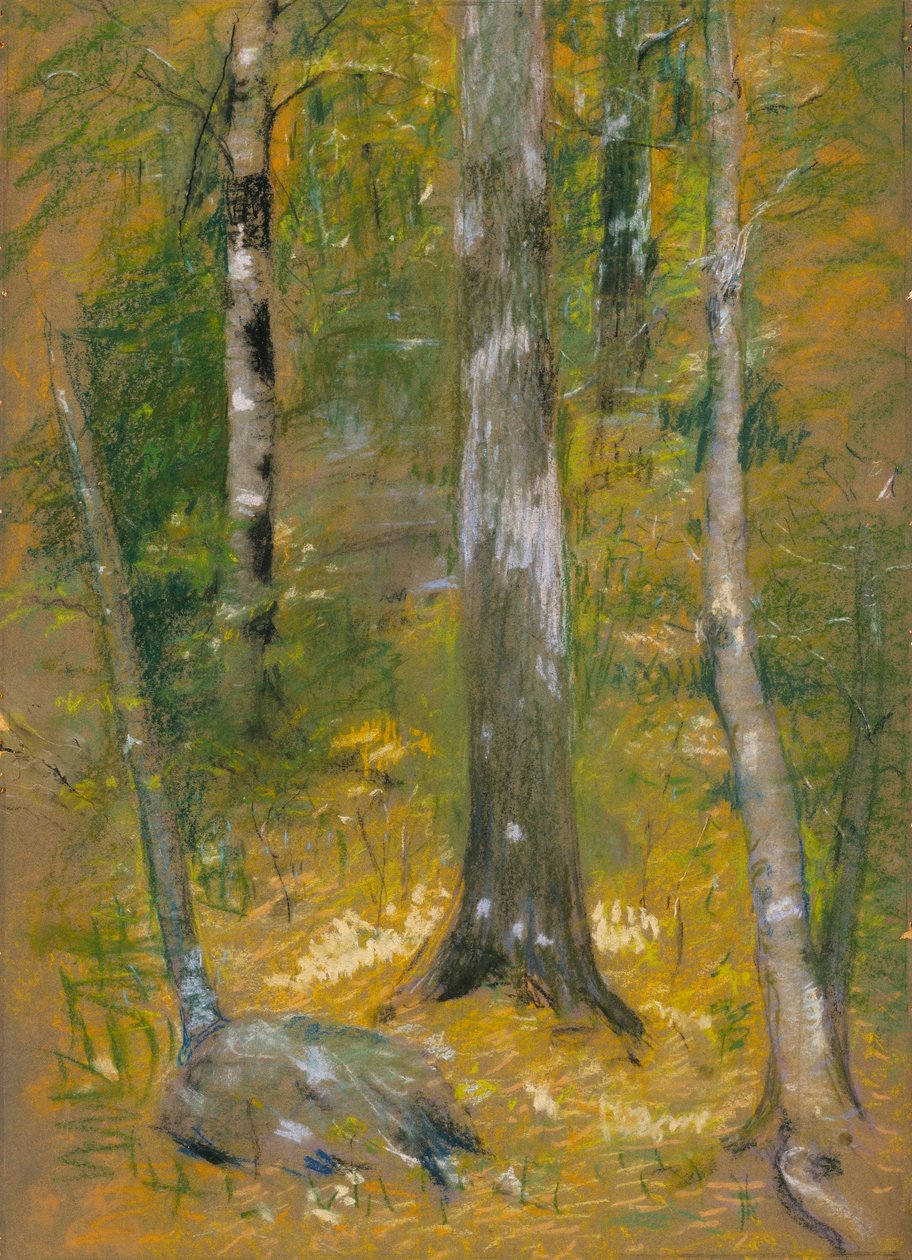 Onteora tekijältä Alice Pike Barney