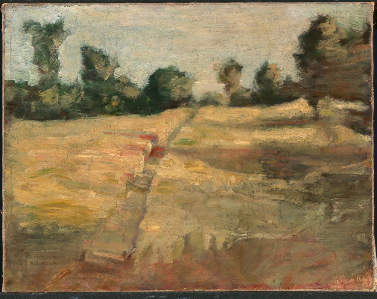 Kenttä, n. 1892. tekijältä Alice Pike Barney