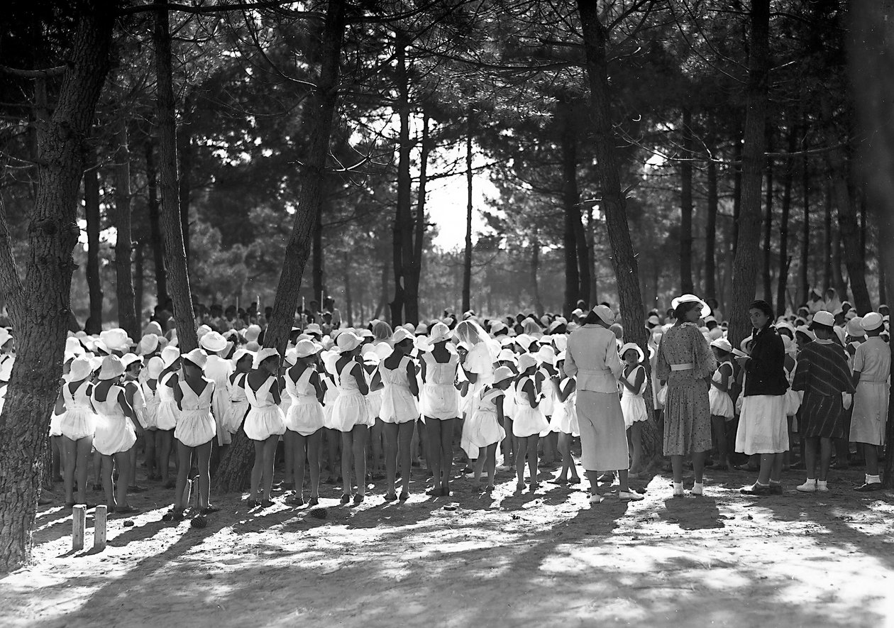 Villa Rosa Maltoni Mussolini: naisopiskelijat kokoontuivat mäntylehtoon (m/v kuva) tekijältä Fratelli Alinari