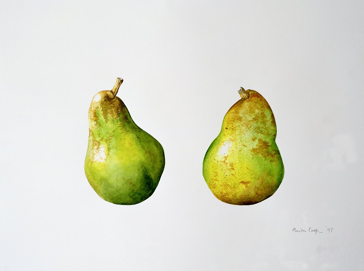 Päärynäpari, 1997 tekijältä Alison Cooper