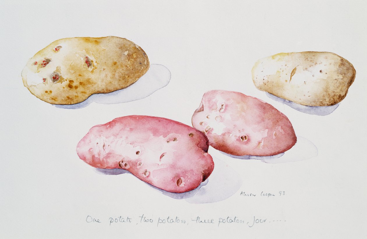Perunatutkimus, 1993 tekijältä Alison Cooper