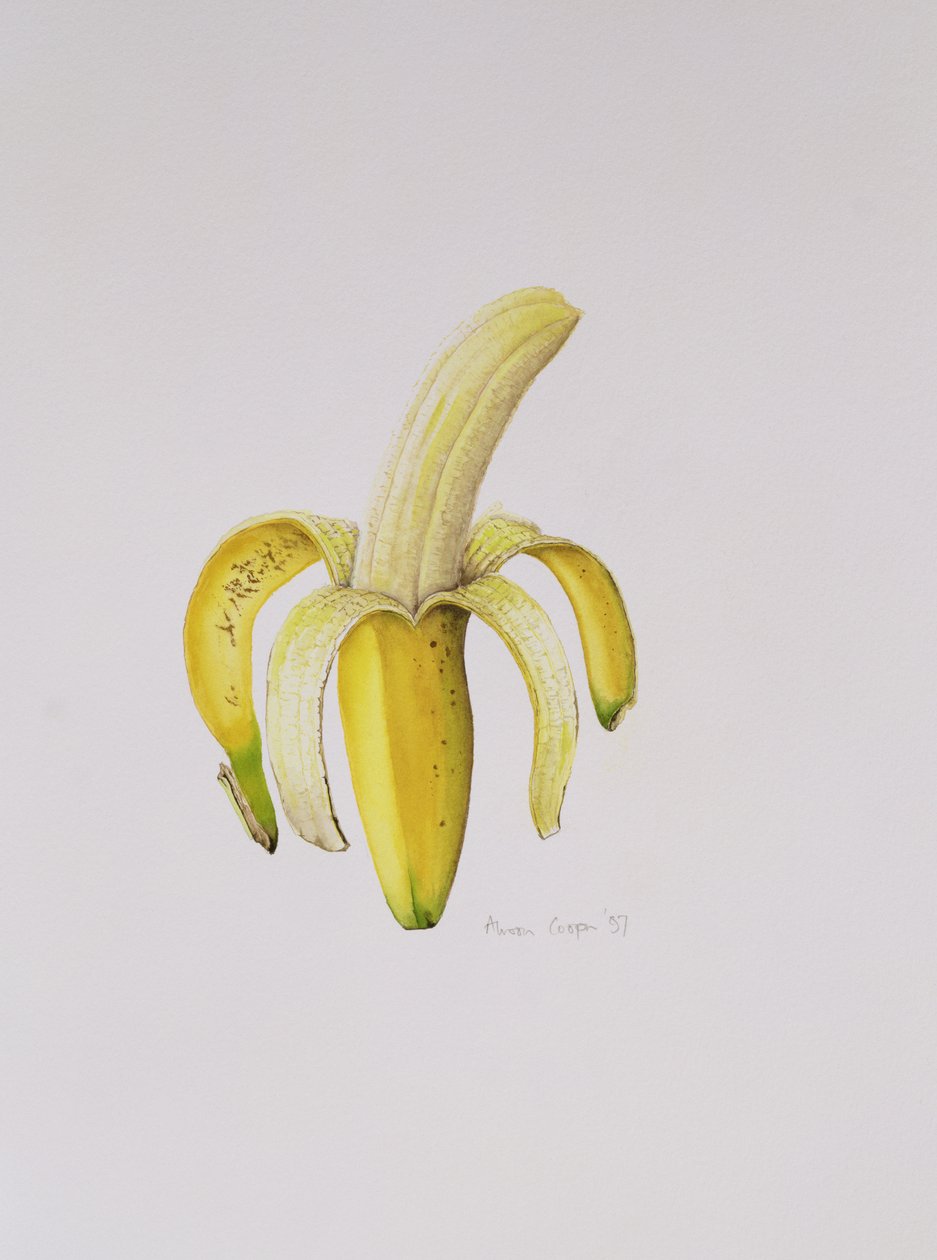 Puoliksi kuorittu banaani, 1997 tekijältä Alison Cooper