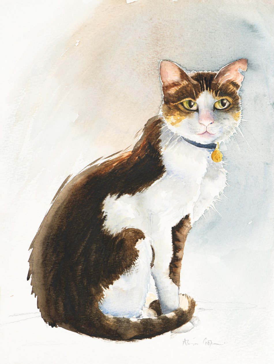 Dave the Saudi Cat, 2019 (akvarelli) tekijältä Alison Cooper
