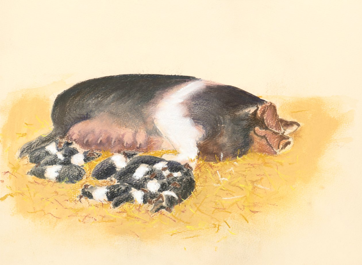 Satulaselkäinen emakko ja porsaat, 2019 (pastelli) tekijältä Alison Cooper