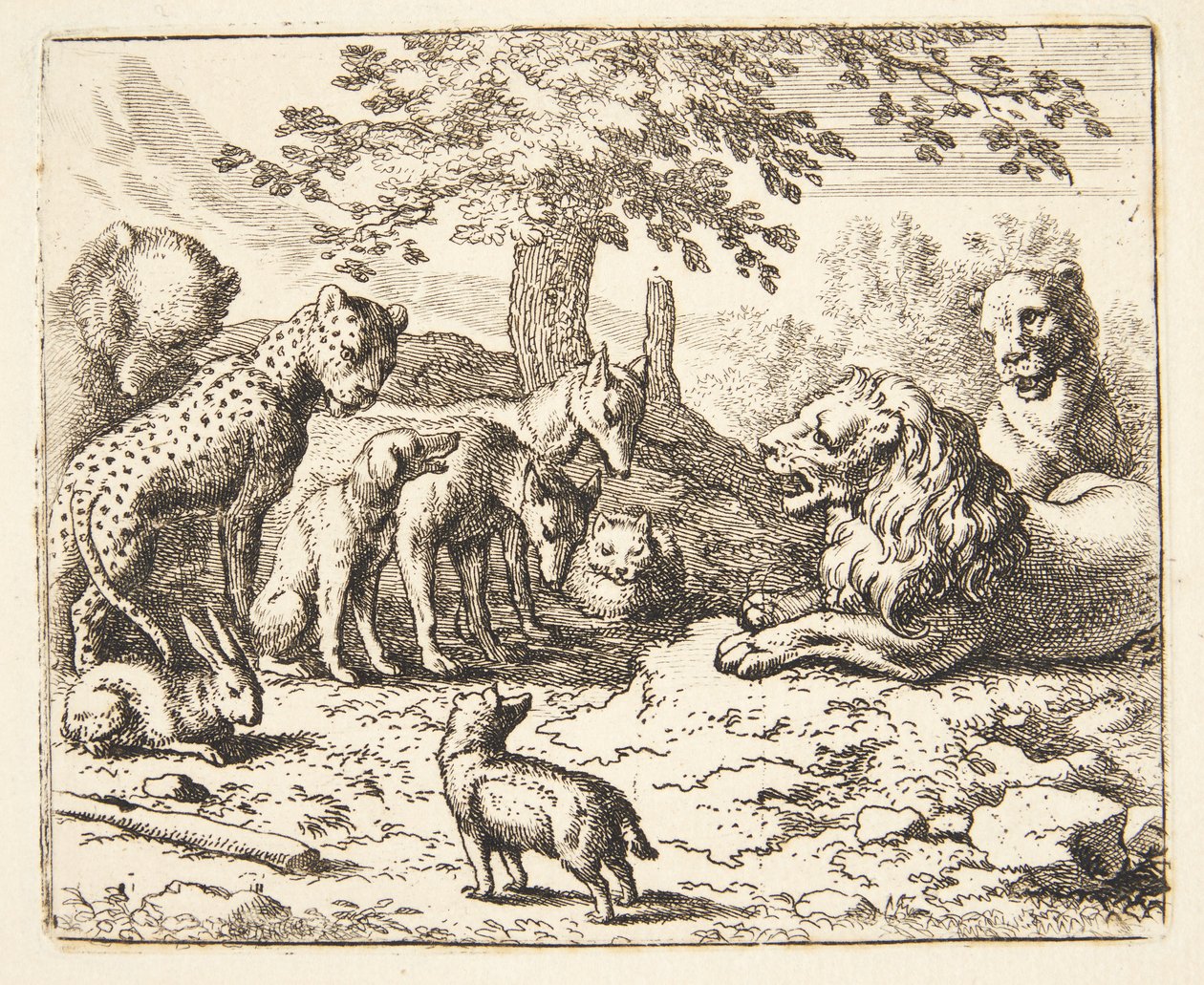 Lion