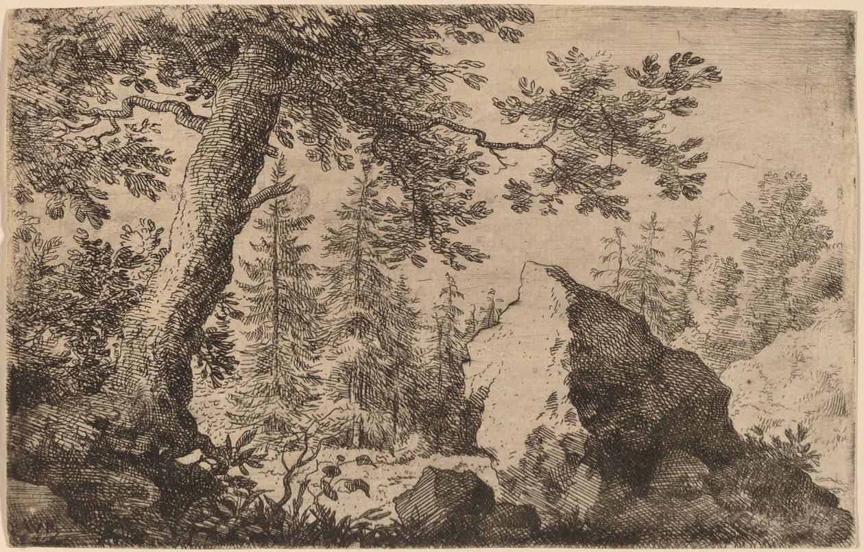 Boulder in the Woods tekijältä Allart van Everdingen