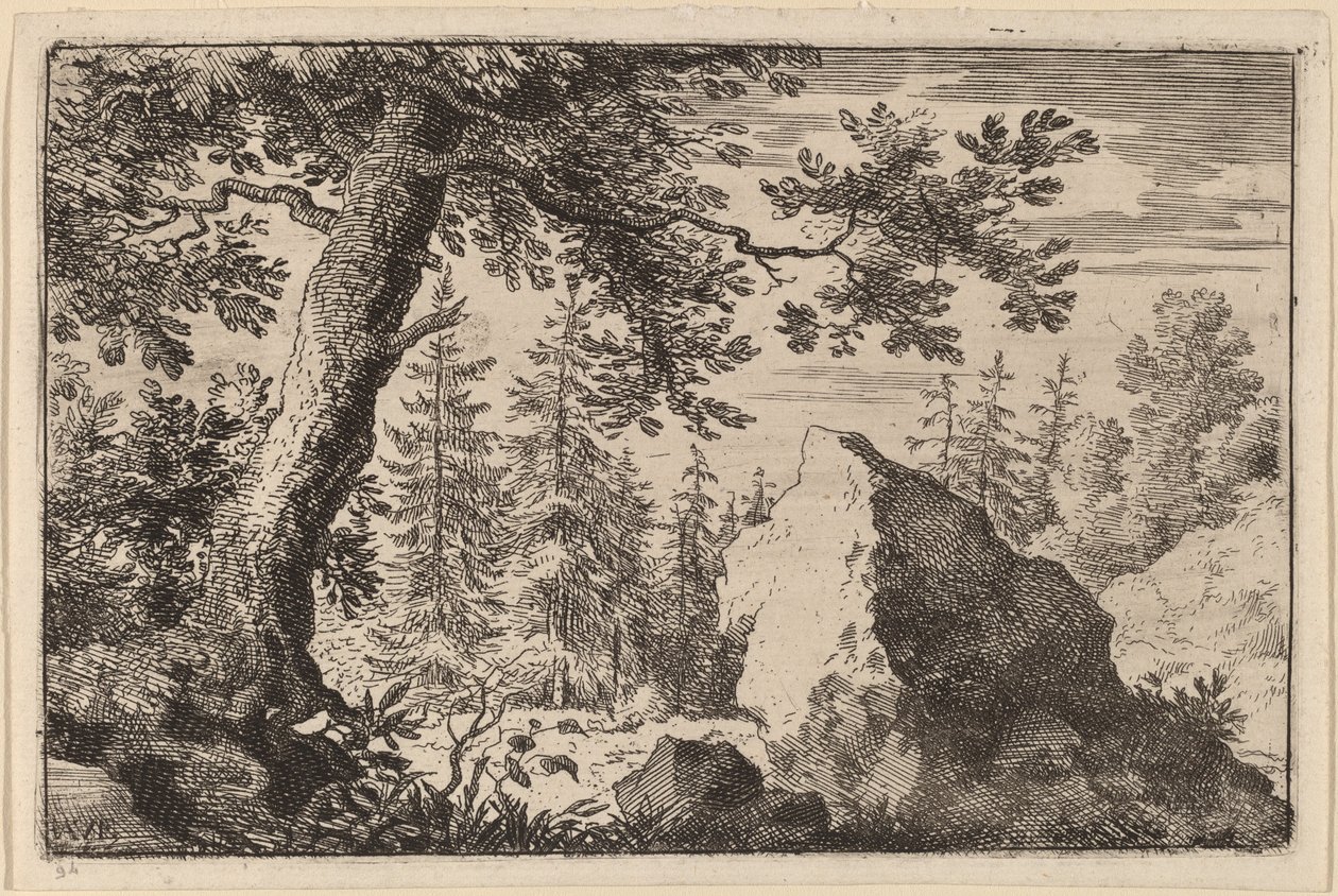 Boulder in the Woods tekijältä Allart van Everdingen