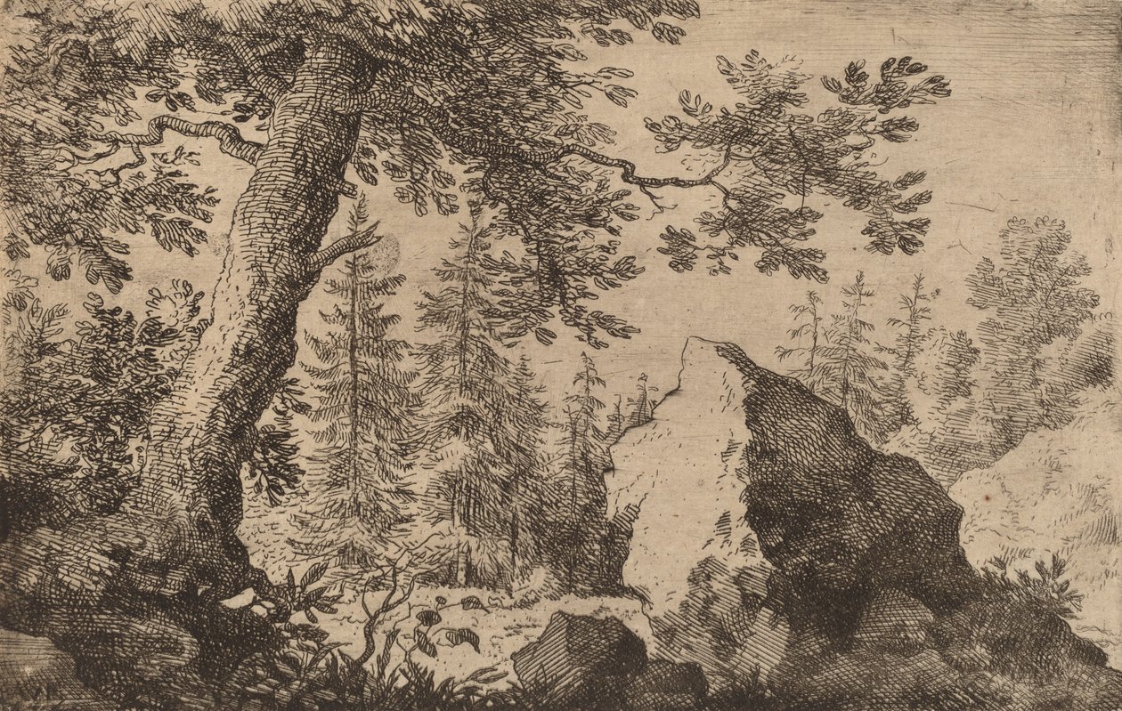 Boulder in the Woods, luultavasti n. 16451656. tekijältä Allart van Everdingen