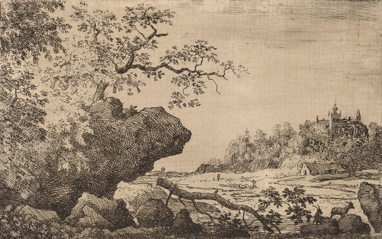 Branch in the Water, luultavasti n. 16451656. tekijältä Allart van Everdingen