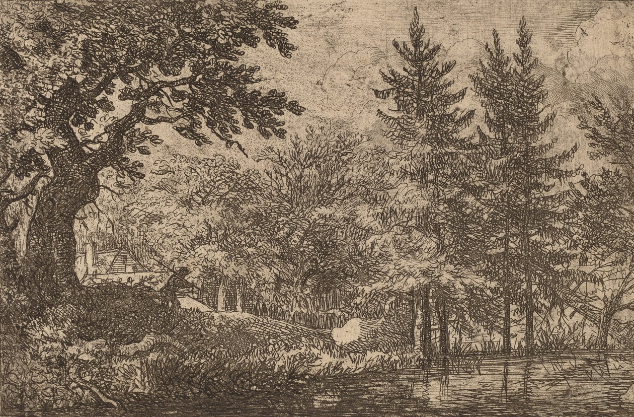 Fir Trees at the Water, luultavasti n. 16451656. tekijältä Allart van Everdingen