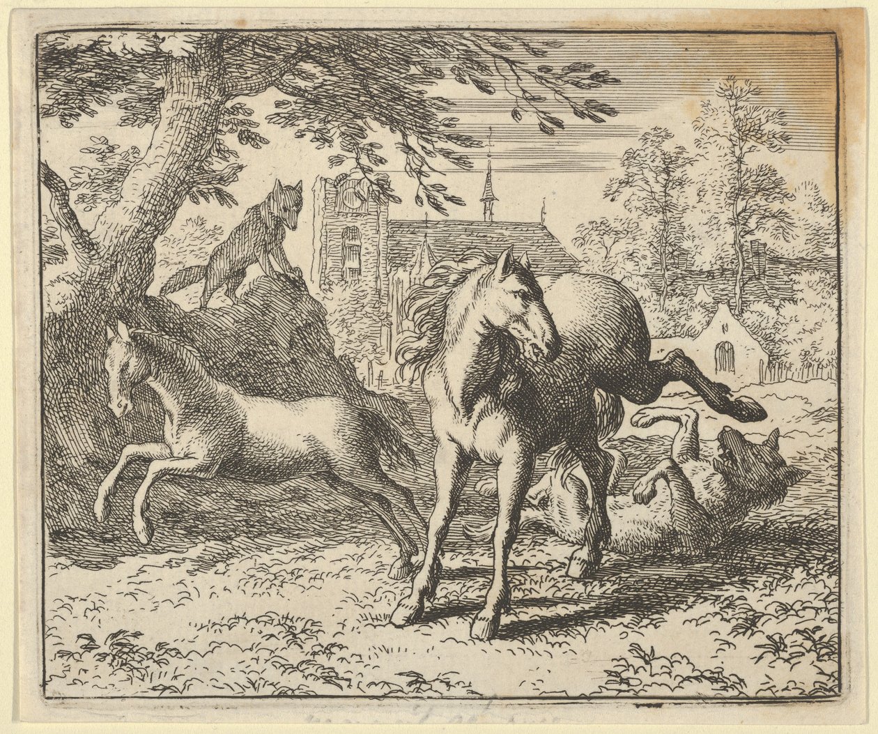 Renard menee mäyrän kanssa oikeuteen lievittääkseen leijonan vihaa, 1650-75. tekijältä Allart van Everdingen