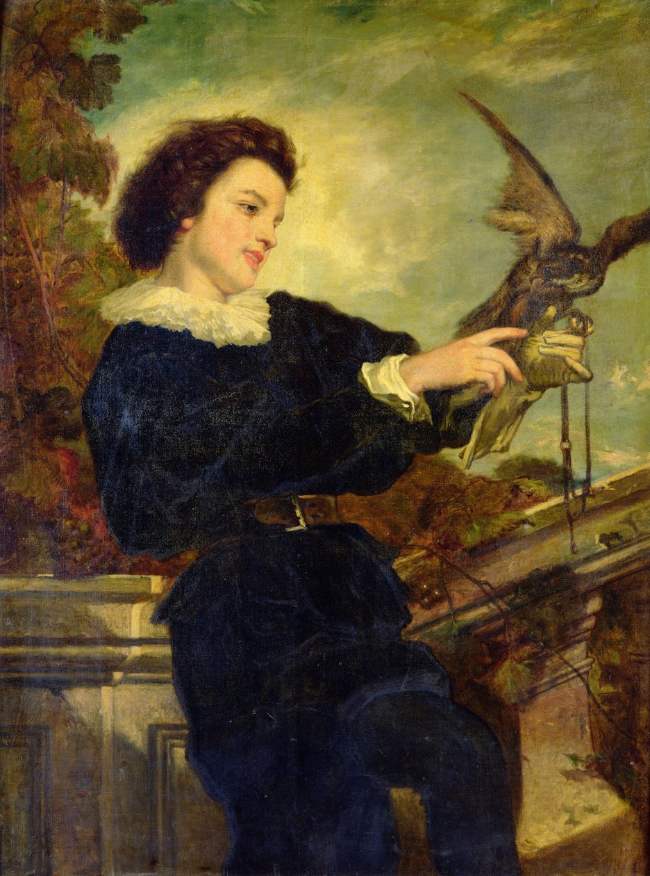 Falconer tekijältä Alphonse Carrière