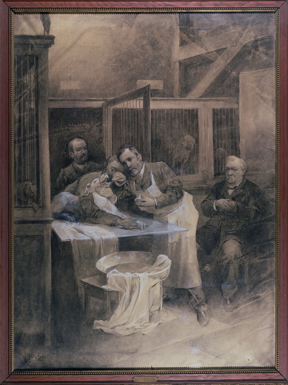 Louis Pasteur (1822-95) ottaa näytteen raivokkaasta koirasta (hiiltä) tekijältä Alphonse Mucha