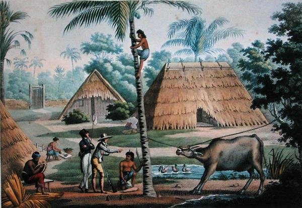 Näkymä Coupangin ympäristöstä, Timor, teoksesta "Voyage Autour du Monde sur les Corvettes de L