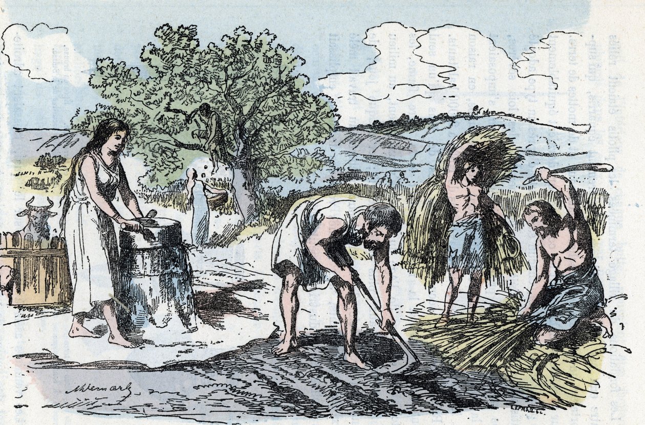 Esihistorian arkielämä: maataloustyön kohtaus raudan aikakaudella Kaiverrus kirjasta "" La nature et l