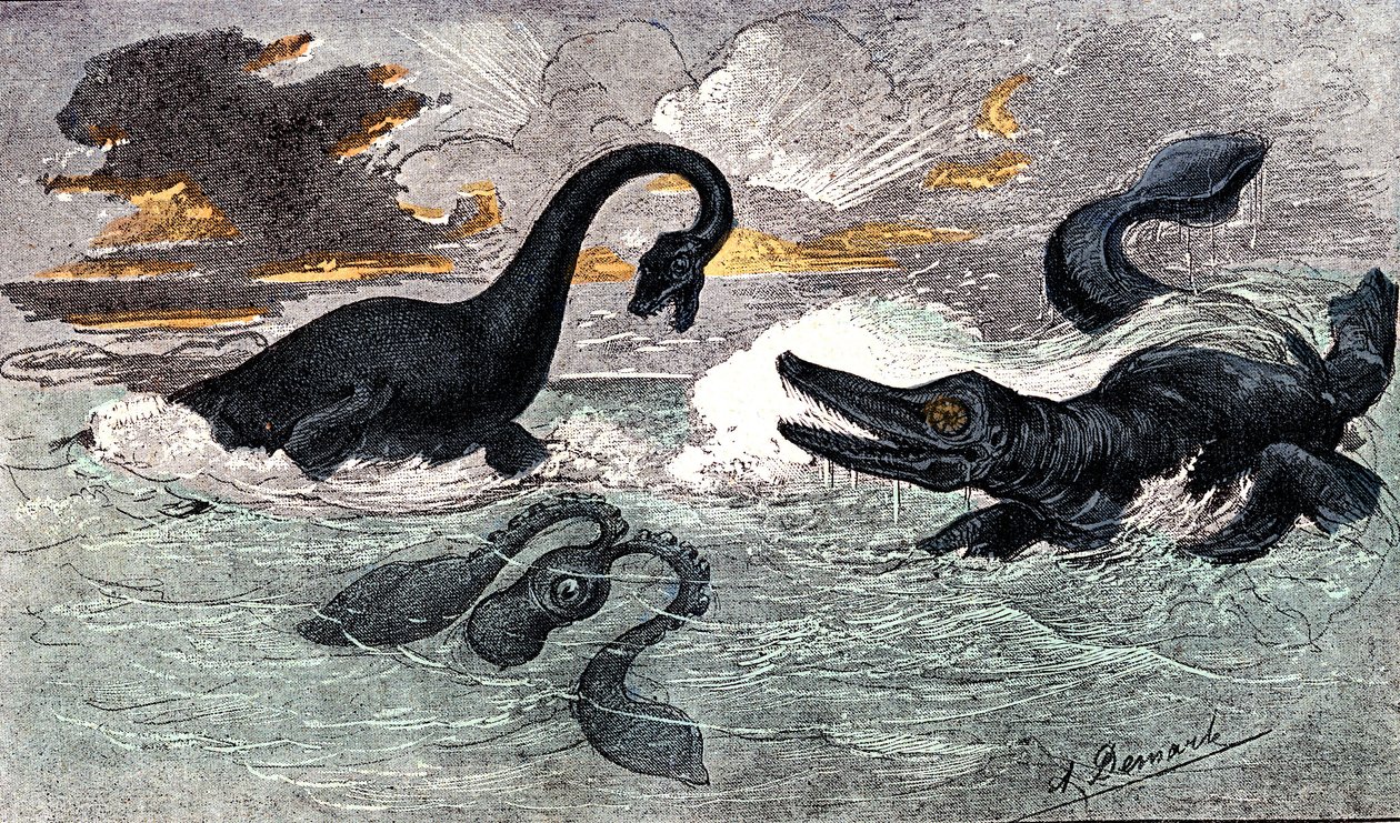 Lias-kausi (alempi jura): plesiosaurukset ja ikthyosaurus, luonnollinen luomus ja elävät olennot (Jules Renegade) Piirustus A. Demarle. 1885 tekijältä Alphonse Demarle