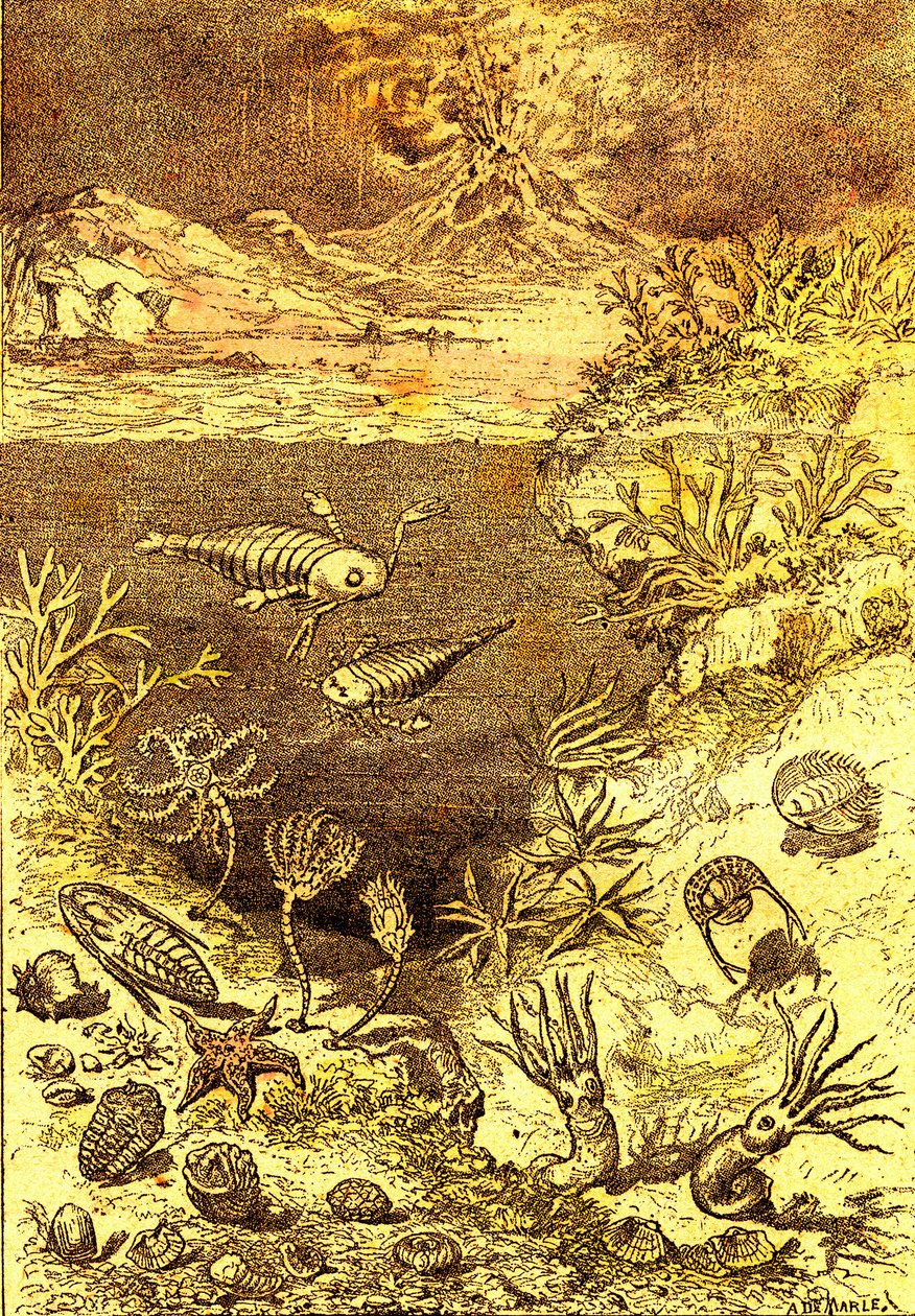 Esihistoria - Silurian ajan loppu: Luonnollinen luominen ja elävät olennot (J. Rengade) Piirustus A. Demarle. 1885 tekijältä Alphonse Demarle