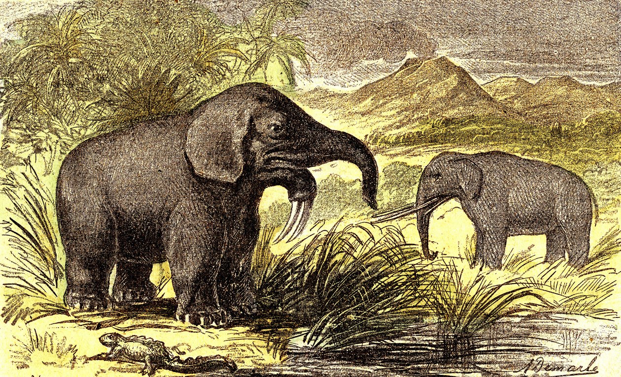 Esihistoria-mioseenikausi: Oikealta vasemmalle: Dinotherum ja Mastodonte. Luonnollinen luomus ja elävät olennot. Piirustus A. Demarle. 1885 tekijältä Alphonse Demarle
