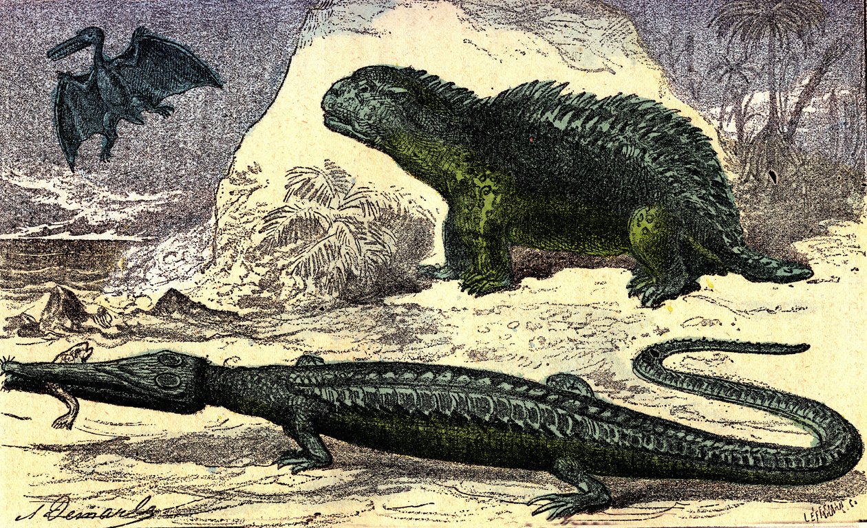 Esihistoria - Jurassic: Teleosaurus ja Hyleosaurus. Pterodactyl yläkerrassa. Luonnollinen luomus ja elävät olennot. Piirustus A. Demarle. 1885 tekijältä Alphonse Demarle