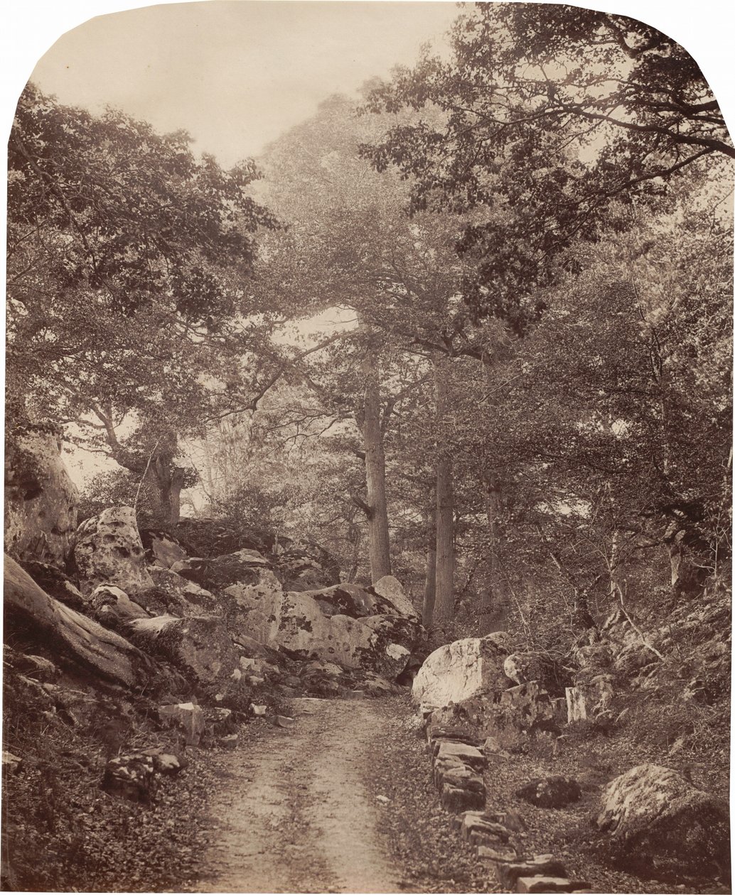Fontainebleau, noin 1860-luku (kuva). tekijältä Alphonse Francois Jeanrenaud