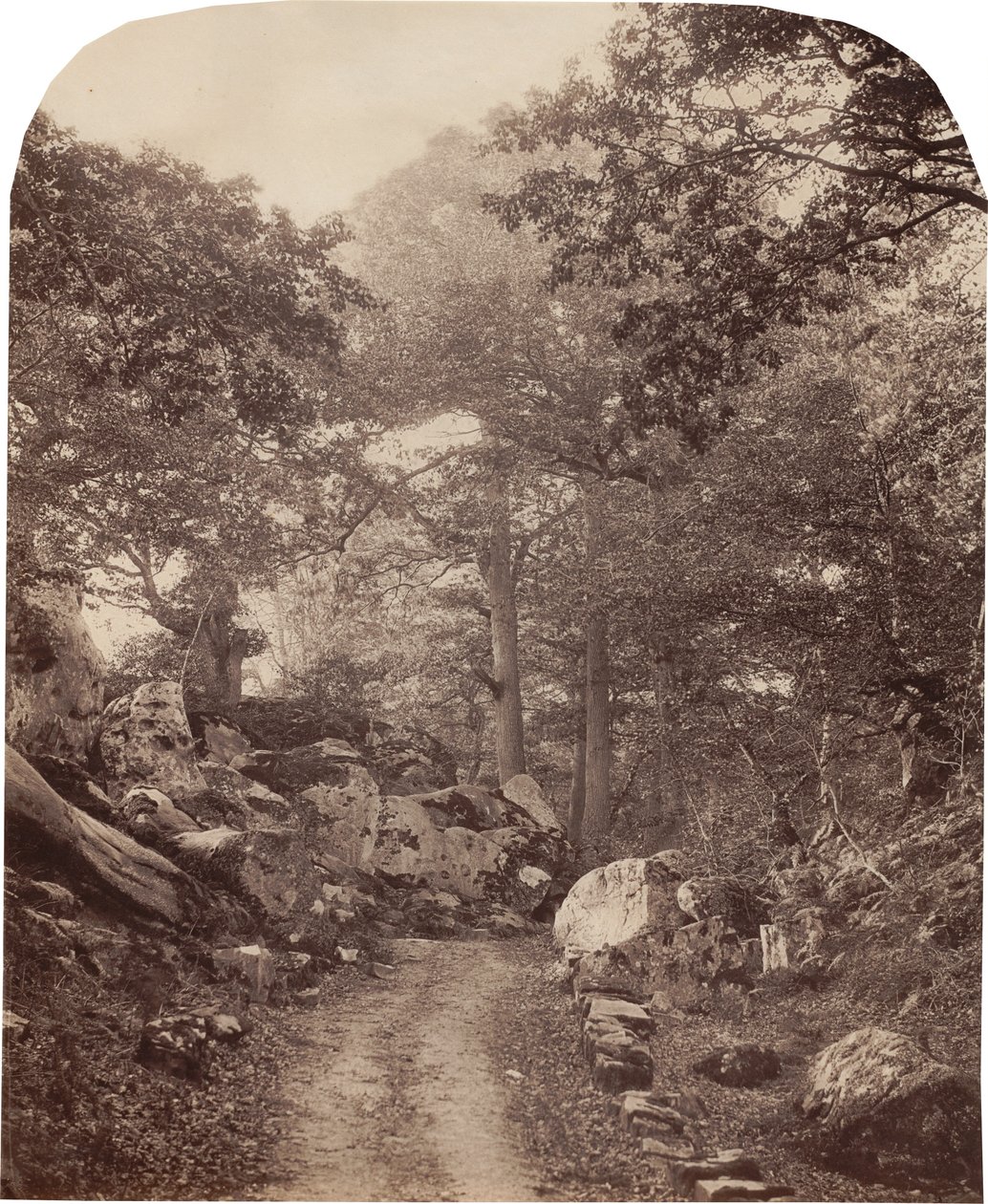 Fontainebleau tekijältä Alphonse Jeanrenaud