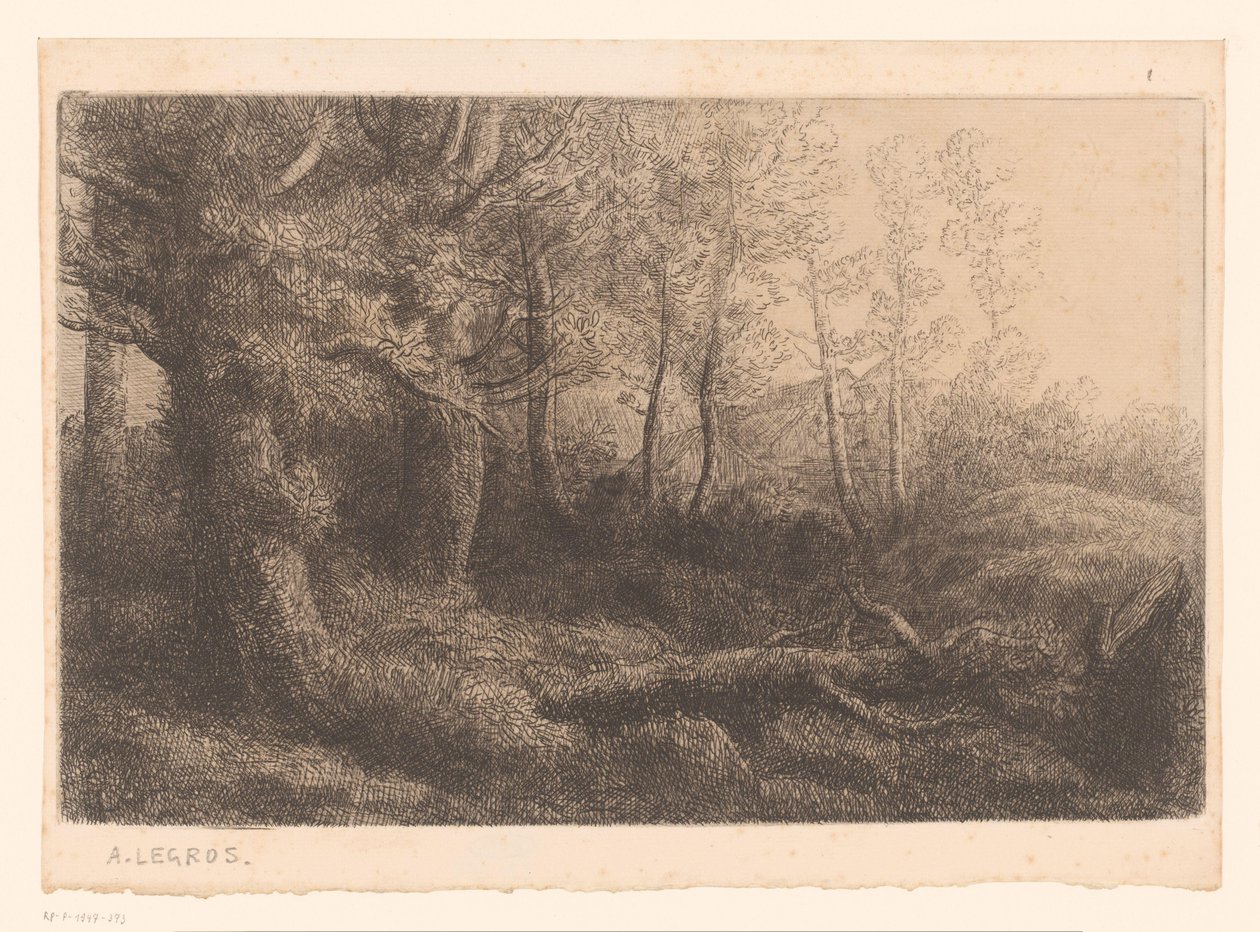 metsänäkymä tekijältä Alphonse Legros (attributed to)