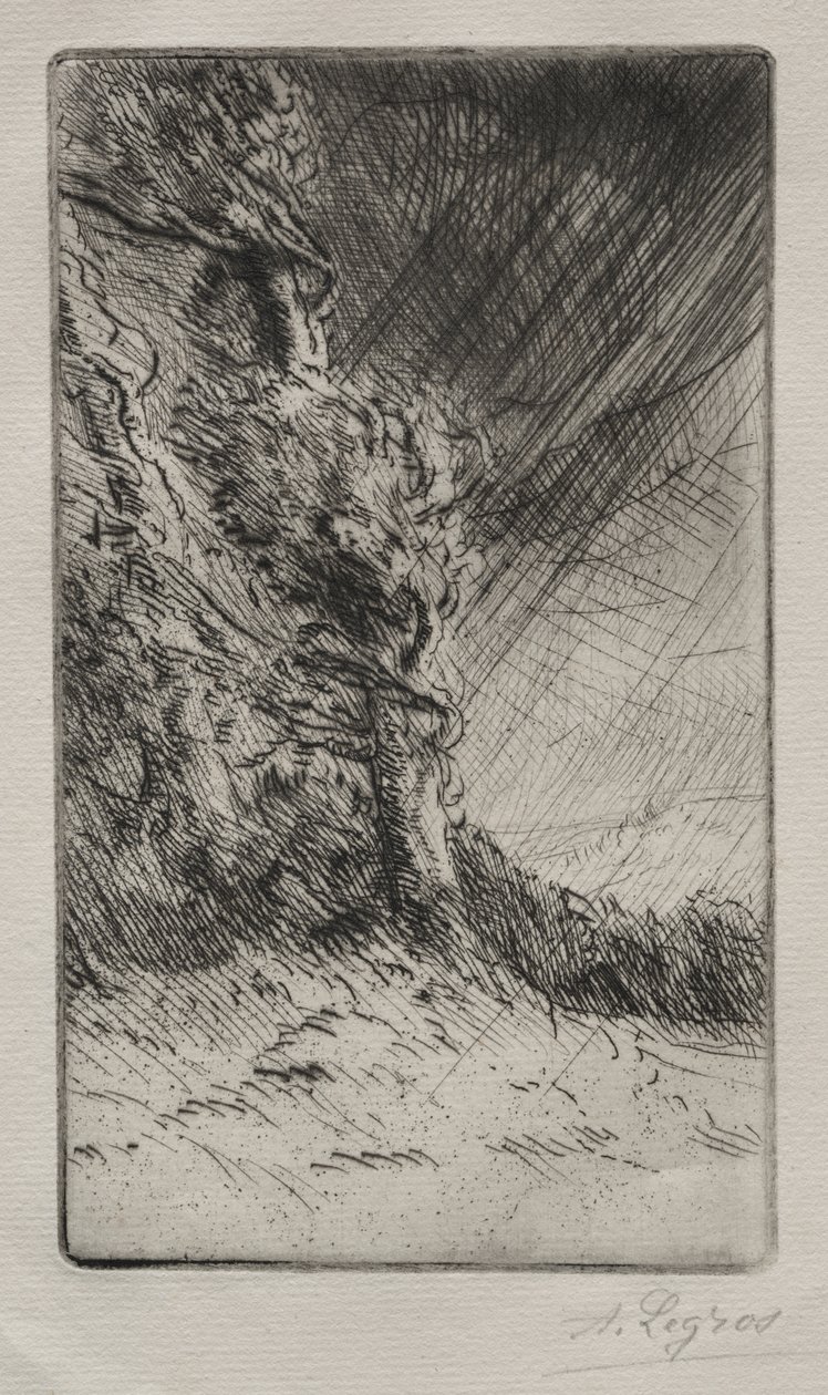 Tuulenpuuska tekijältä Alphonse Legros