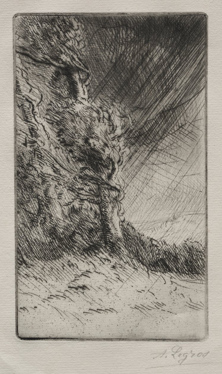 Tuulenpuuska. tekijältä Alphonse Legros