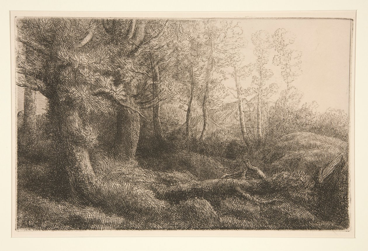 Metsämaatutkimus tekijältä Alphonse Legros