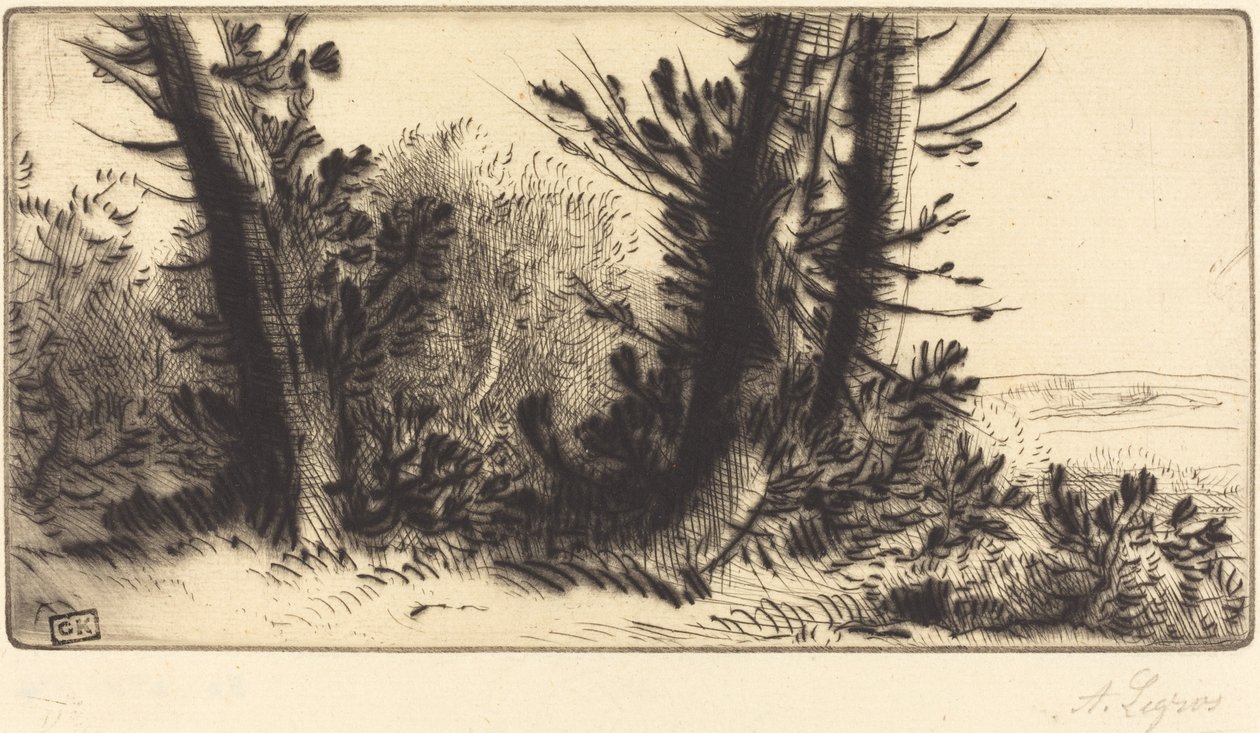 Across Country (A travers -mestari) tekijältä Alphonse Legros