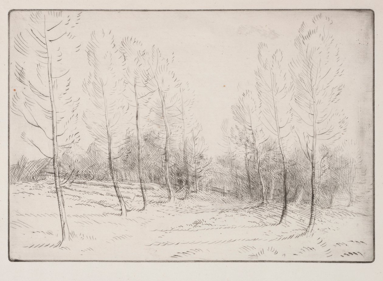 Poppelien katu. tekijältä Alphonse Legros