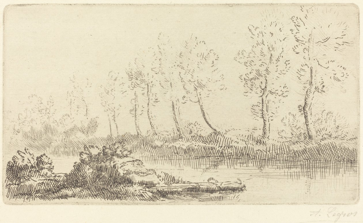 Adourin pankit Bord de l
