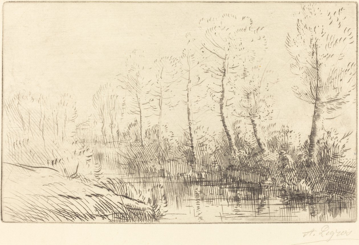 Koivut: veden reuna aamuvalossa tekijältä Alphonse Legros