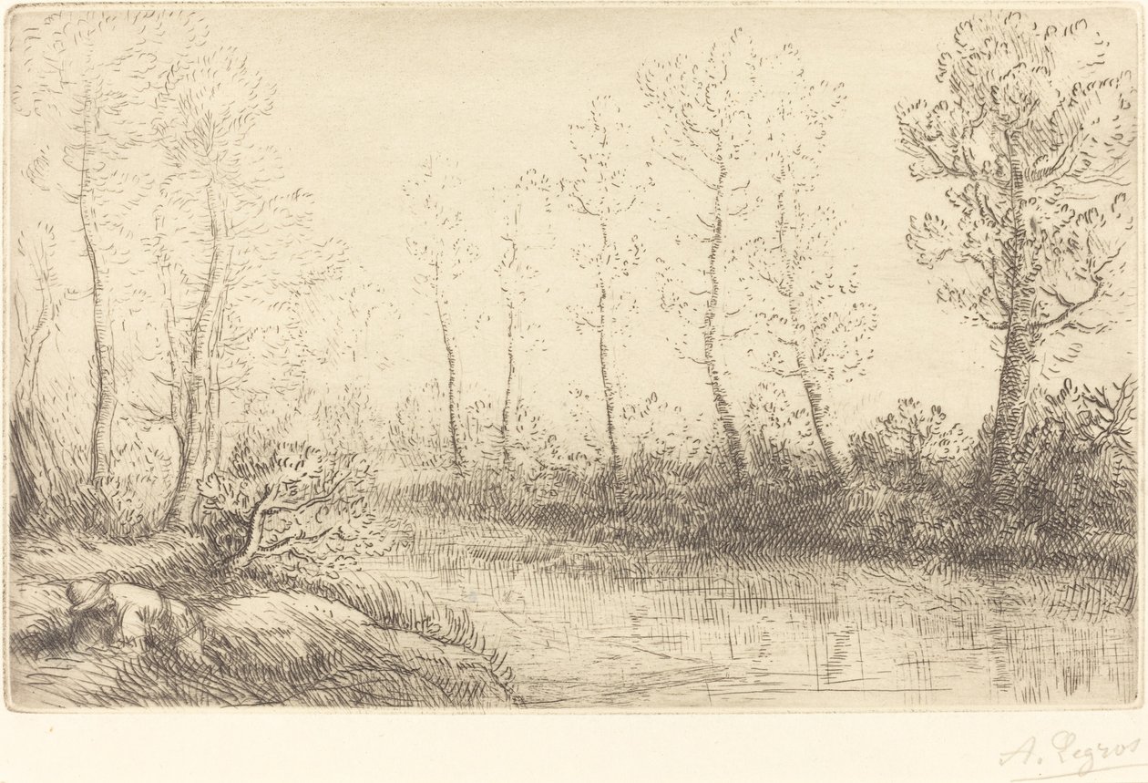 Koivut: veden reuna aamuvalossa Koivut: veden reuna aamuvalossa. tekijältä Alphonse Legros