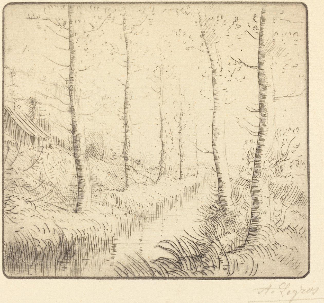 Koivut veden varrella tekijältä Alphonse Legros