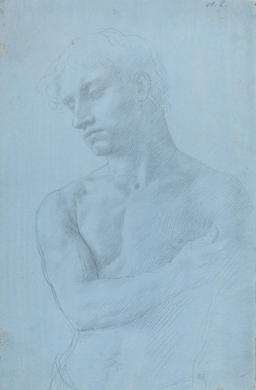 Alaston miehen rintakuva. tekijältä Alphonse Legros