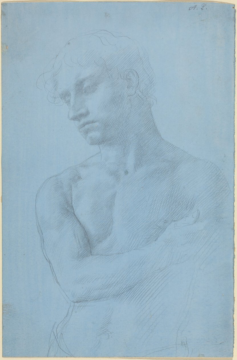 Alastoman miehen rintakuva tekijältä Alphonse Legros