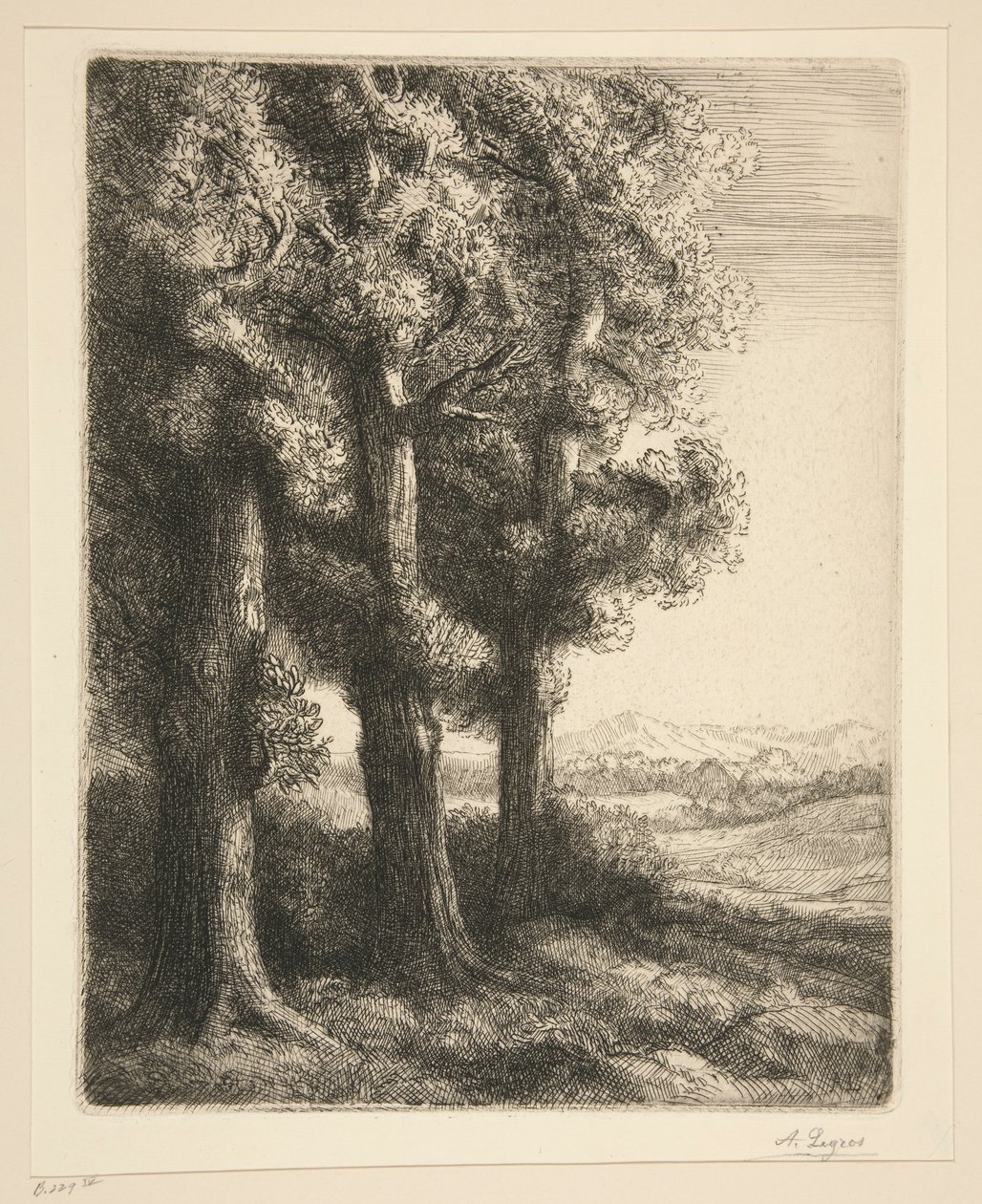 nurkkaan tekijältä Alphonse Legros