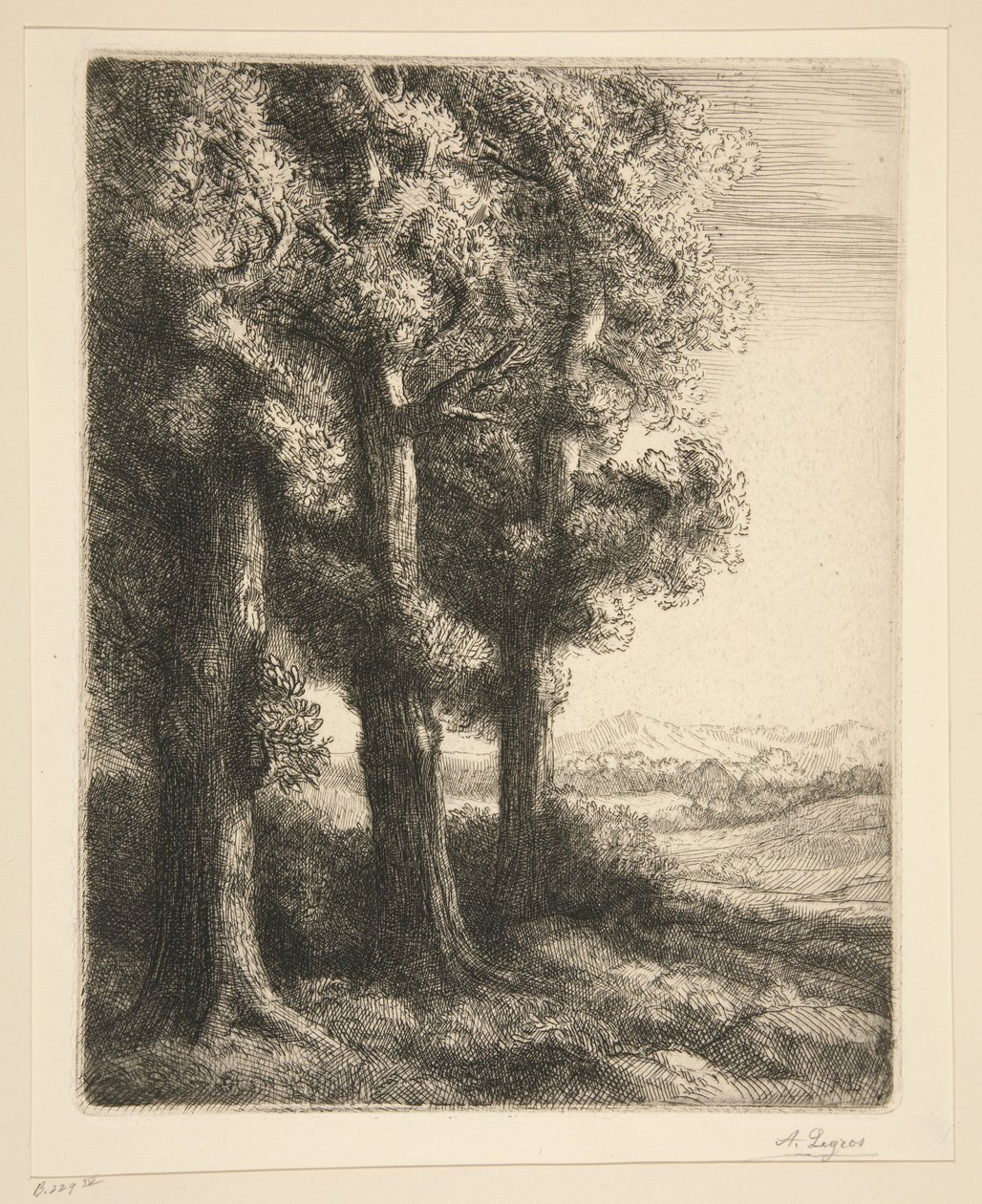 Metsän kolkka tekijältä Alphonse Legros
