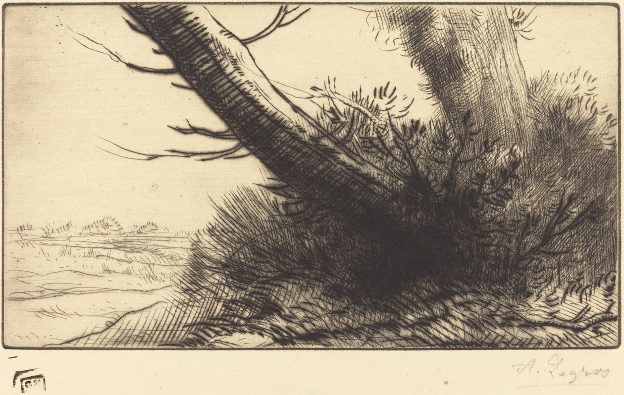 Polun kulma Polun kulmassa. tekijältä Alphonse Legros