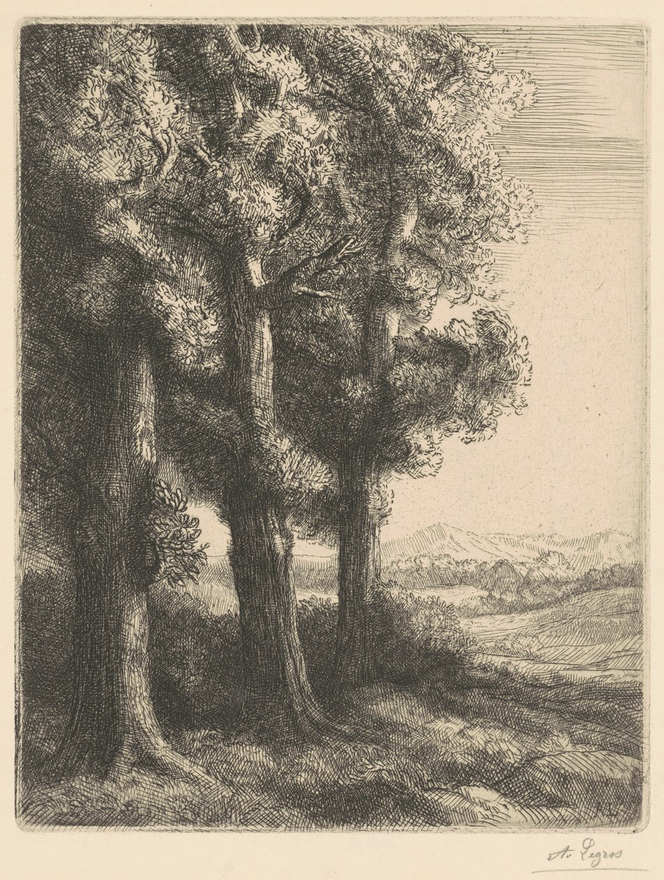 Corner of a Wood (Metsänreuna) tekijältä Alphonse Legros