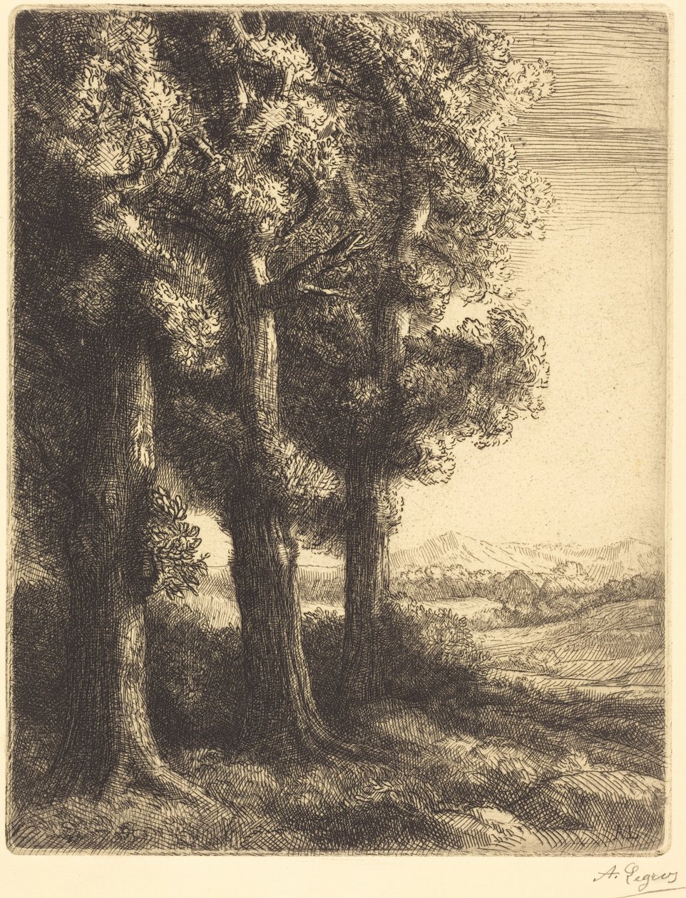 Corner of a Wood (Metsänreuna) tekijältä Alphonse Legros