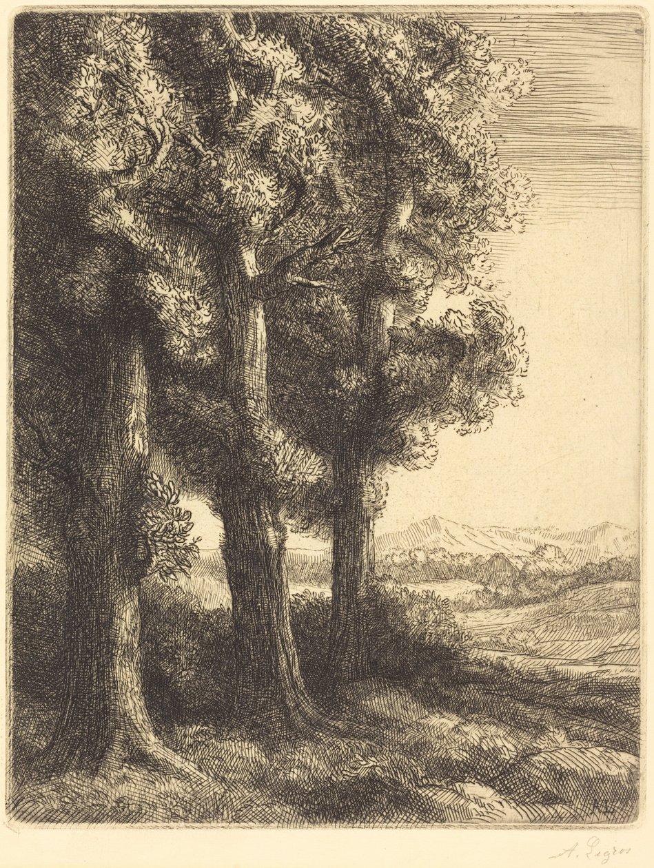 Corner of a Wood (Metsänreuna) tekijältä Alphonse Legros