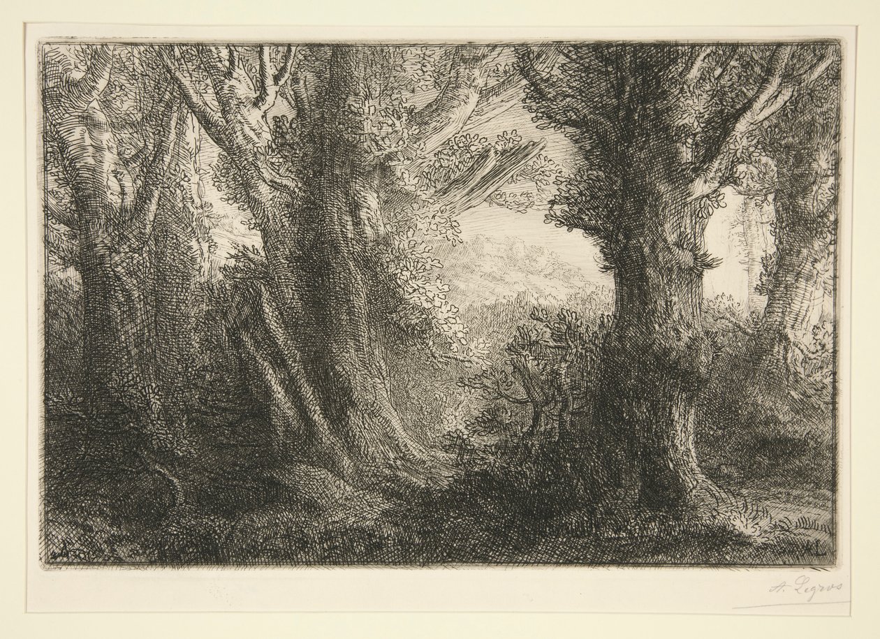 Dans la foret de Conteville (Contevillen metsässä) tekijältä Alphonse Legros