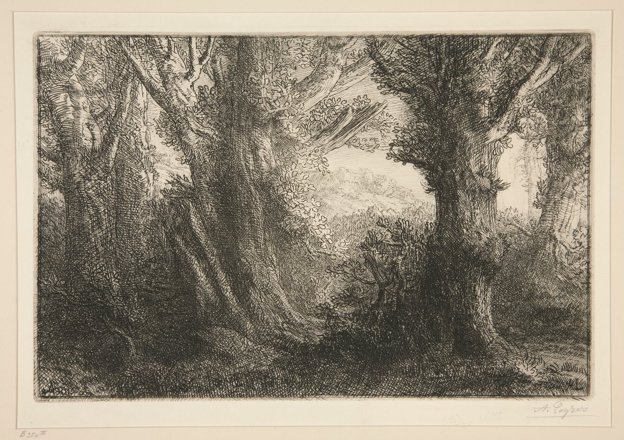 Dans la foret de Conteville (Contevillen metsässä0 tekijältä Alphonse Legros