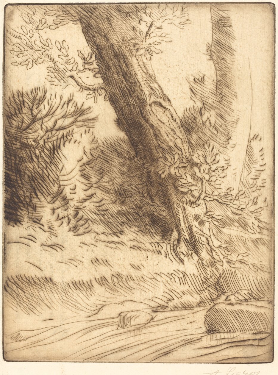 Bord de ruisseau -puron reuna. tekijältä Alphonse Legros