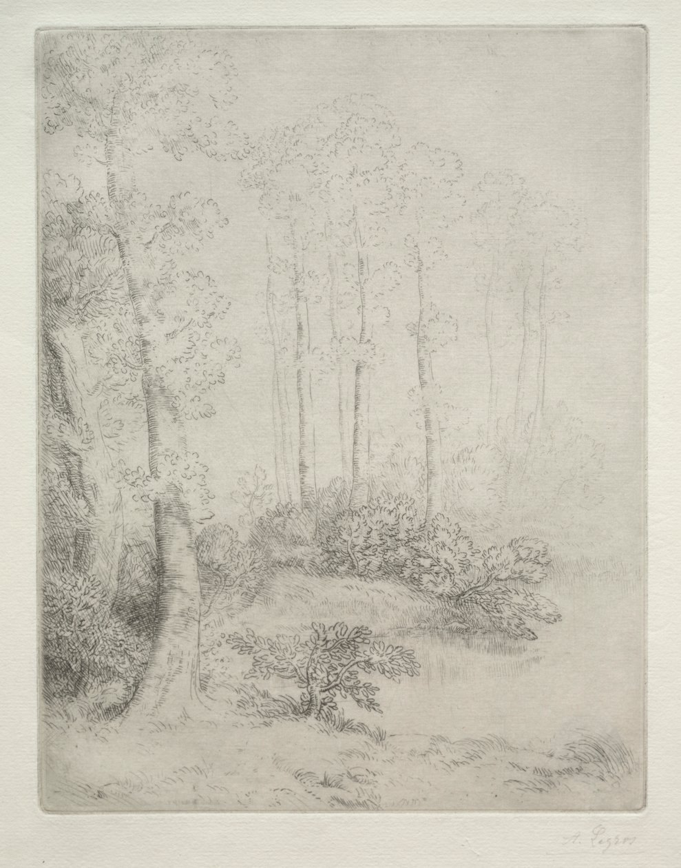 Veden reuna tekijältä Alphonse Legros