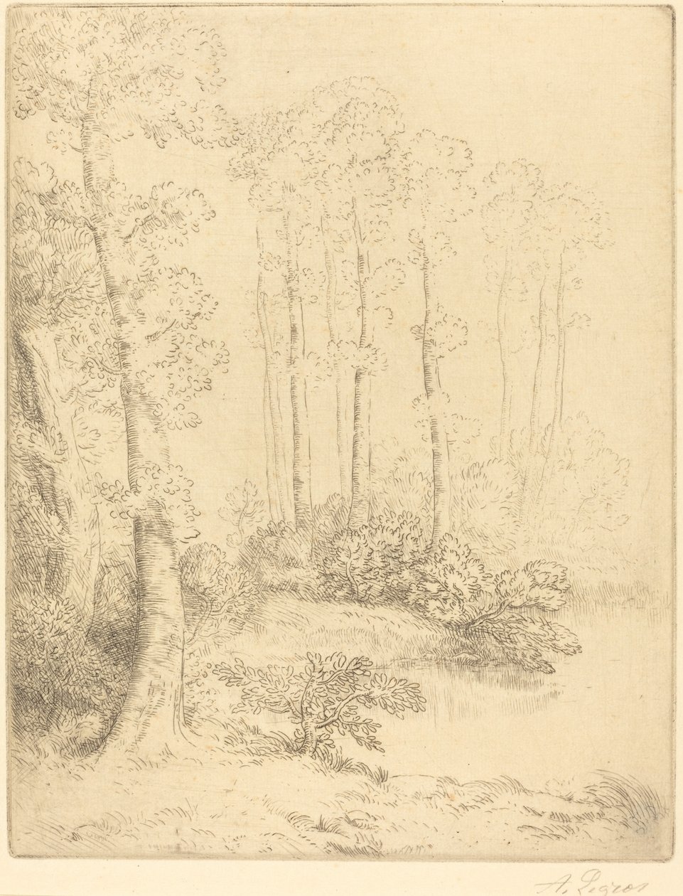 Veden reuna tekijältä Alphonse Legros